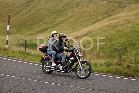 Steve - 3N3A9999 (1208)
