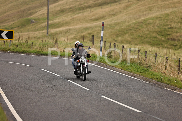 Steve - 3N3A9999 (1200)