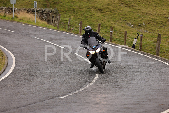 Steve - 3N3A9999 (1030)