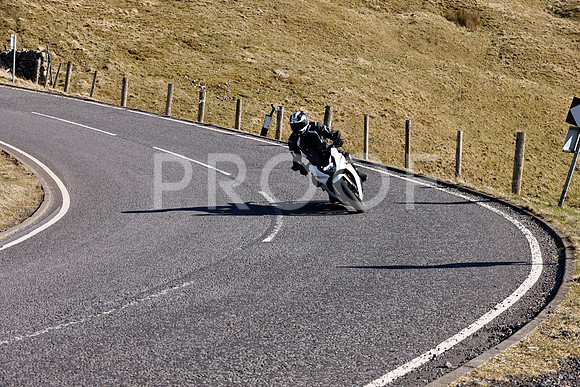 _N3A0379