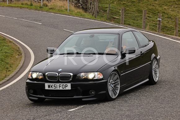 Steve - 3N3A9999 (2056)