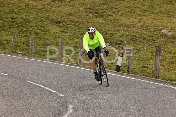 Steve - 3N3A9999 (2178)