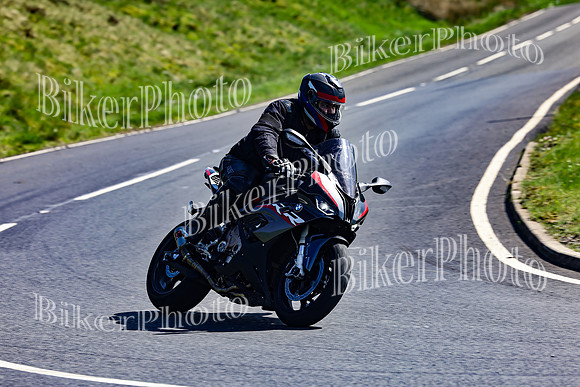 Daves (55)