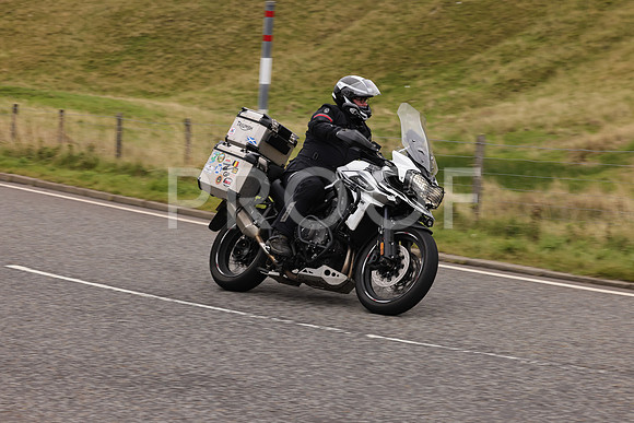 Steve - 3N3A9999 (3062)