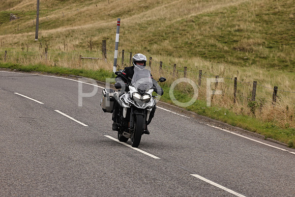 Steve - 3N3A9999 (3053)