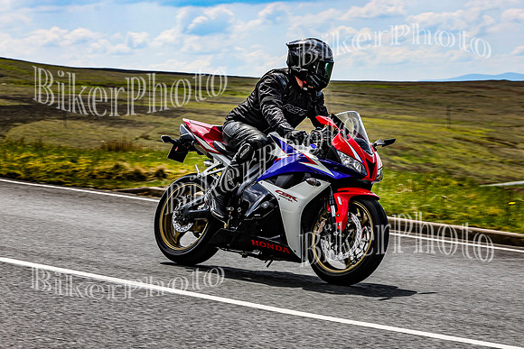 IMG_3290