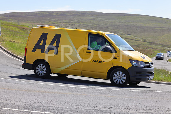 3N3A3991