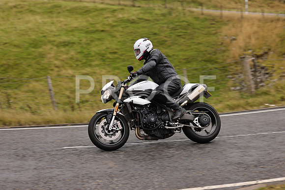Steve - 3N3A9999 (985)