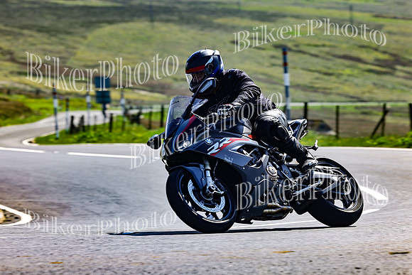 Daves (48)