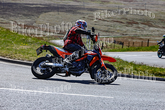 0W9A3338 (2)