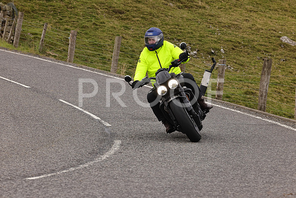 Steve - 3N3A9999 (4959)
