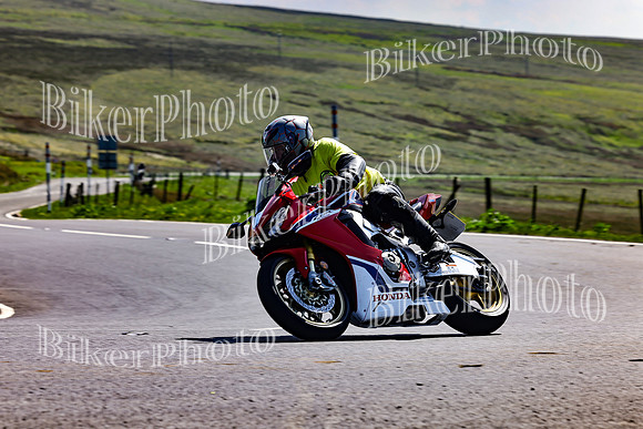 Daves (77)