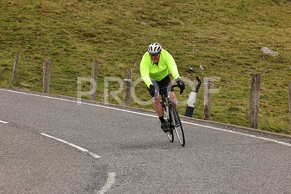 Steve - 3N3A9999 (2180)