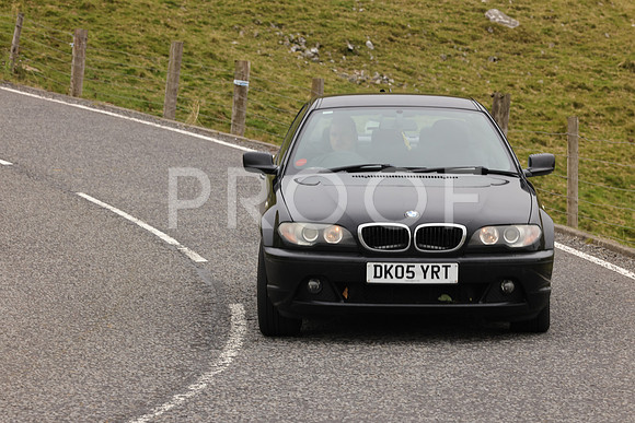 Steve - 3N3A9999 (2156)