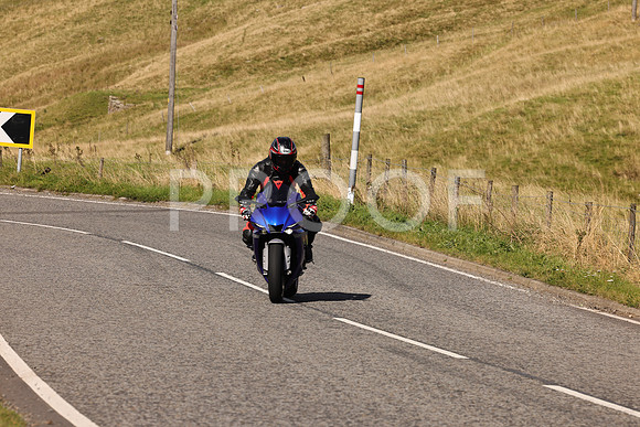 Steve - 3N3A6320 (2045)