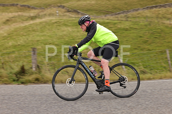 Steve - 3N3A9999 (2209)