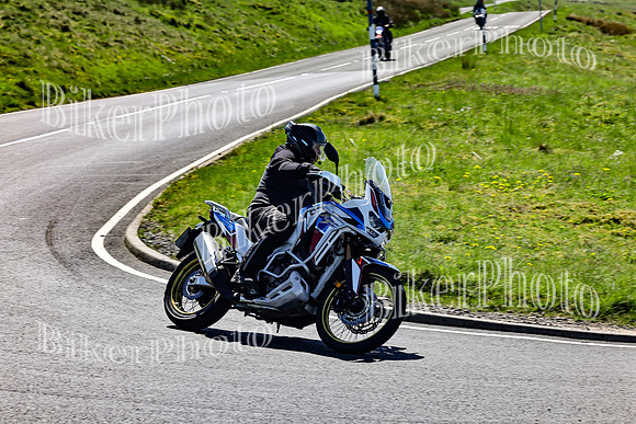 Daves (590)