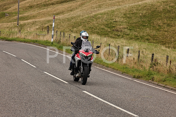 Steve - 3N3A9999 (5022)