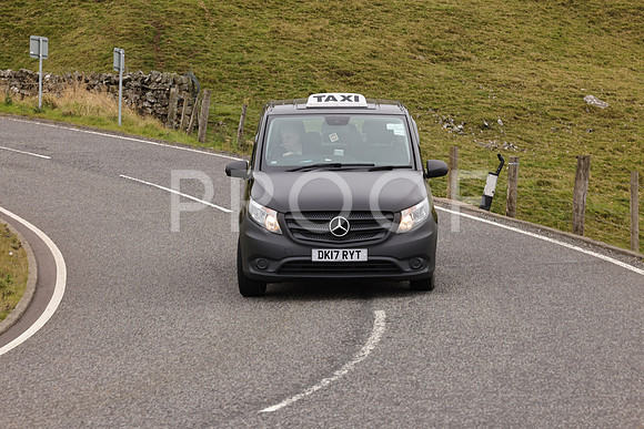 Steve - 3N3A9999 (2371)