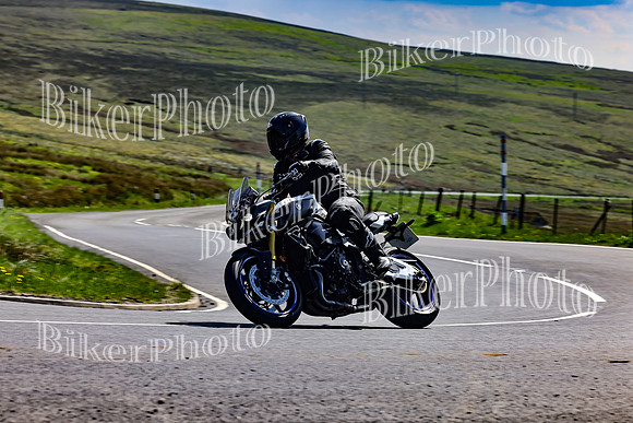 Daves (71)