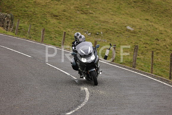 Steve - 3N3A9999 (1147)