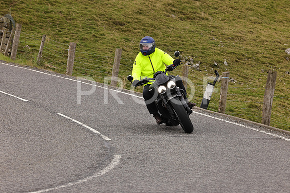 Steve - 3N3A9999 (4950)