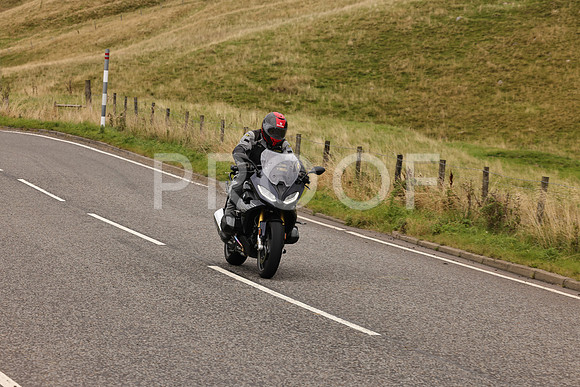 Steve - 3N3A9999 (4991)