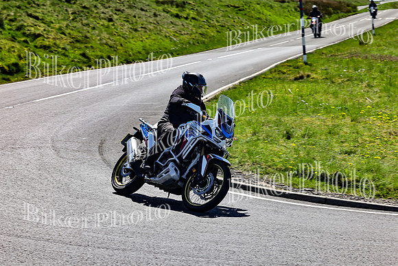 Daves (588)