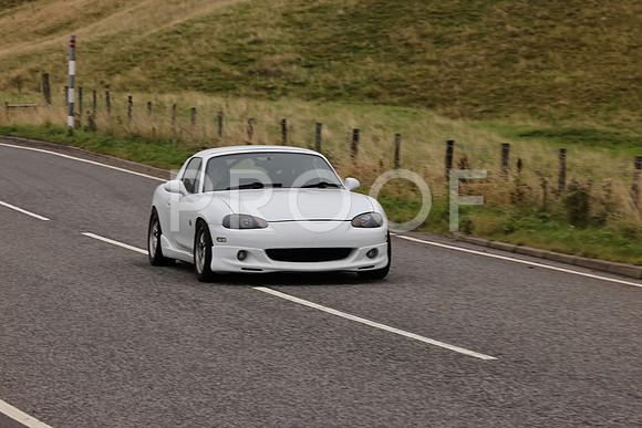 Steve - 3N3A9999 (2107)