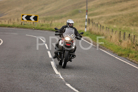 Steve - 3N3A9999 (1225)