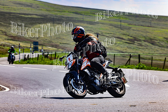 Daves (104)