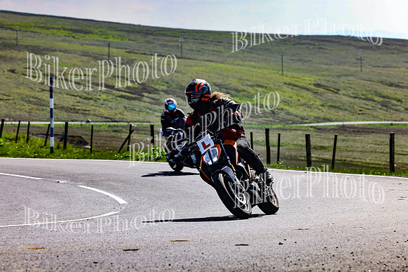 Daves (109)