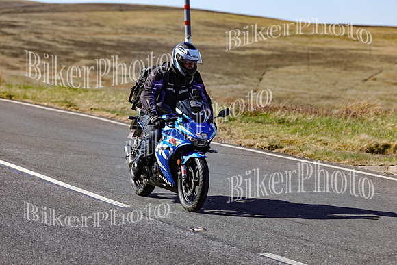 0W9A5290
