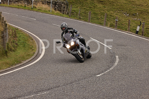 Steve - 3N3A9999 (2982)