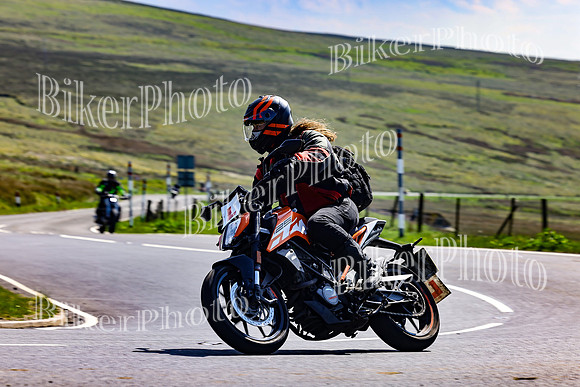 Daves (103)