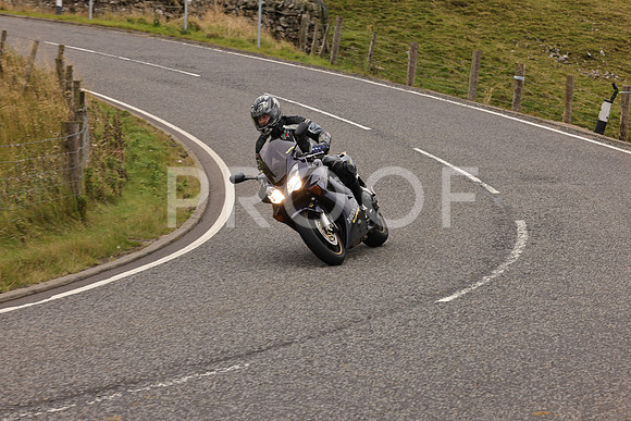 Steve - 3N3A9999 (2984)
