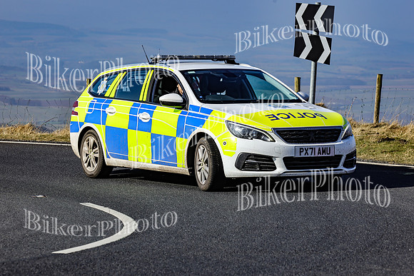 250A0608 (2)