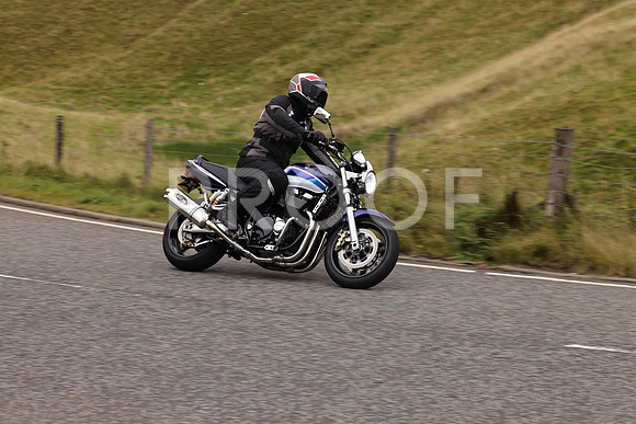 Steve - 3N3A9999 (4860)