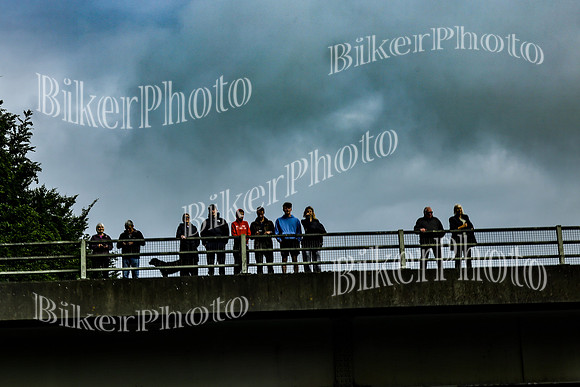 Bridges Cecilia (12)