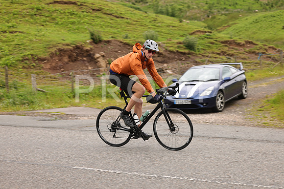 3N3A1377