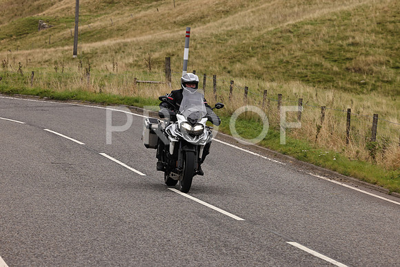 Steve - 3N3A9999 (3050)