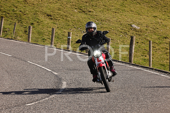 Steve - 3N3A6320 (2011)