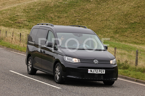 Steve - 3N3A9999 (2141)