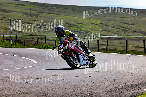 Daves (80)