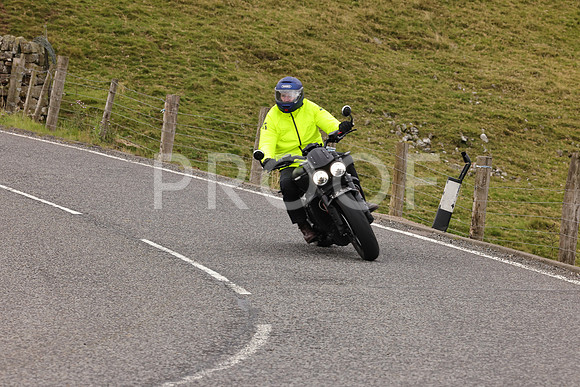 Steve - 3N3A9999 (4946)