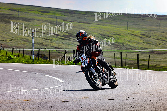 Daves (108)