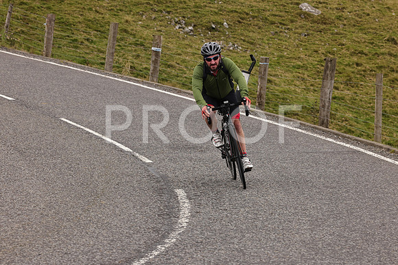 Steve - 3N3A9999 (2383)
