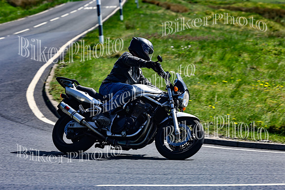 Daves (166)
