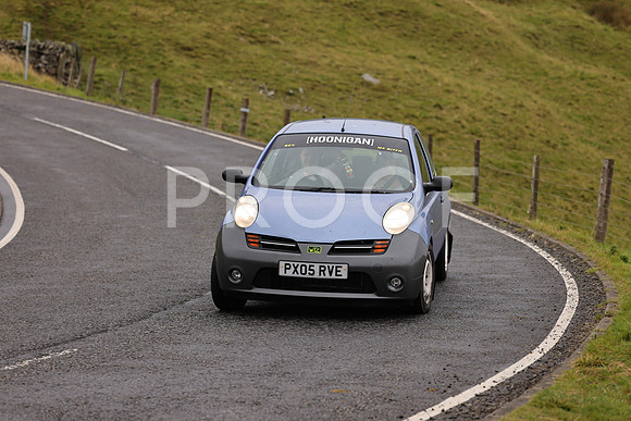 Steve - 3N3A9999 (1623)