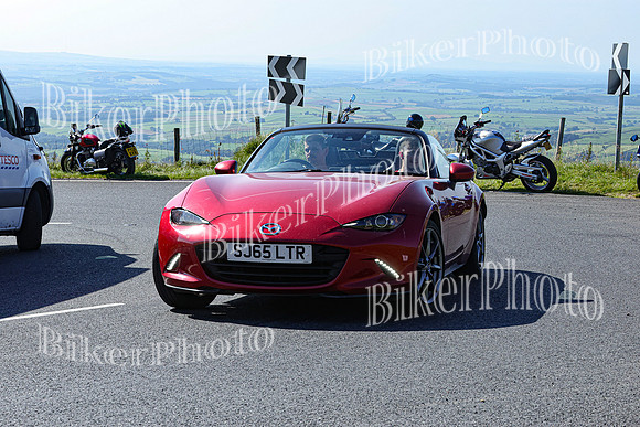 0W9A7332 (3)